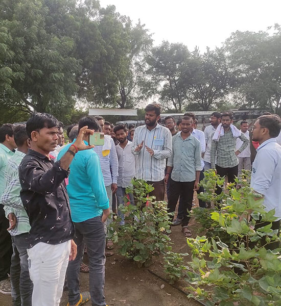 Agriculture, Animal Husbandry, and Allied Sectors